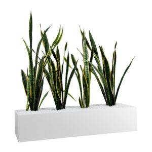 Planter Boxes - to suit Tambours or Standalone