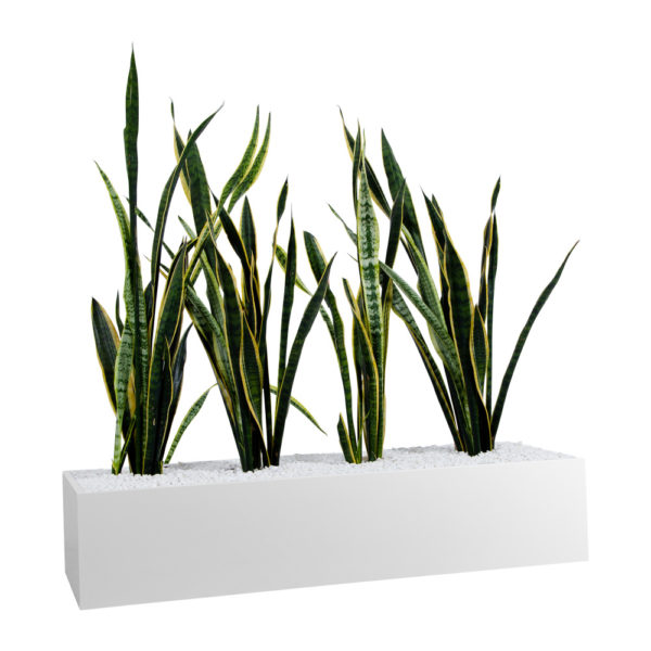 Planter Boxes - to suit Tambours or Standalone